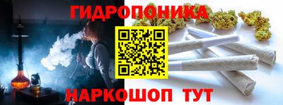 прущие крисы Аргун