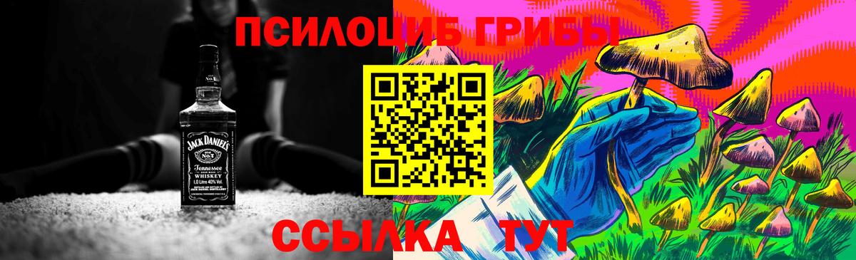 Галлюциногенные грибы мухоморы Будённовск