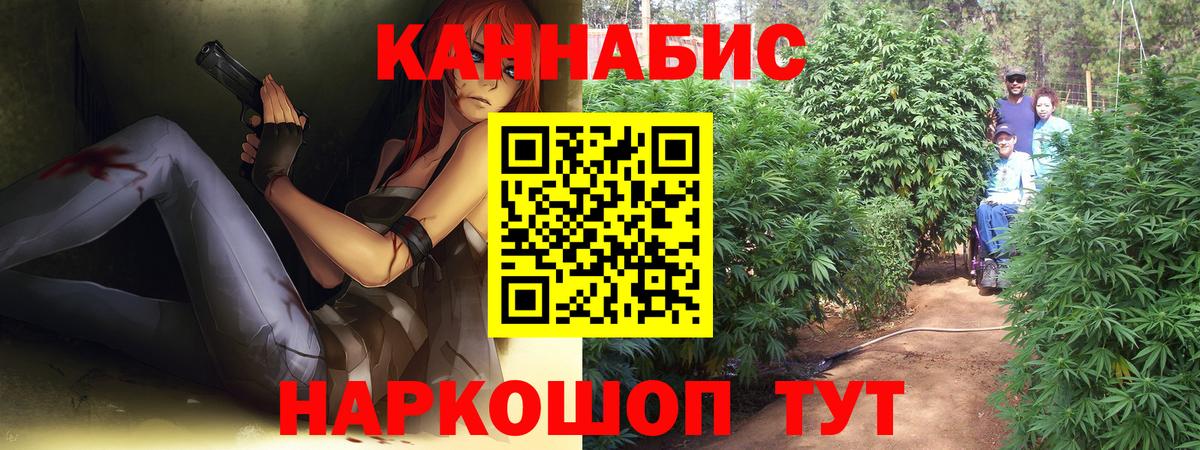 Каннабис OG Kush  Марихуана план  Вход с VPN  Бошки Шишки LSD WEED  Бошки Шишки SATIVA & INDICA  Будённовск 